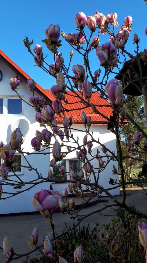 Villa Ranczo U Stefana Ustronie Morskie Exterior foto